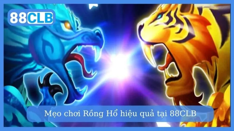 Nên áp dụng mẹo chơi Rồng Hổ để thắng cược